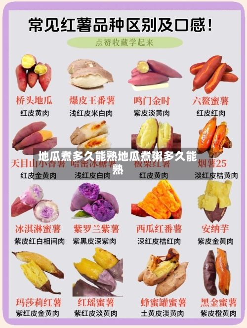 地瓜煮多久能熟地瓜煮粥多久能熟