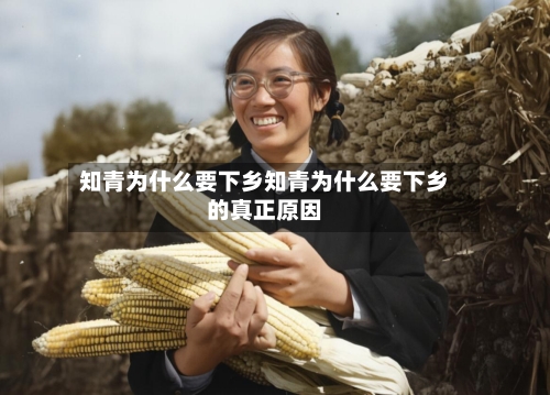 知青为什么要下乡知青为什么要下乡的真正原因