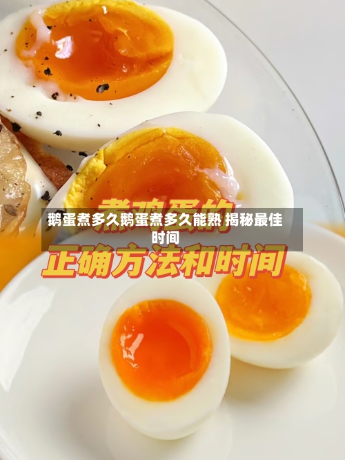 鹅蛋煮多久鹅蛋煮多久能熟 揭秘最佳时间