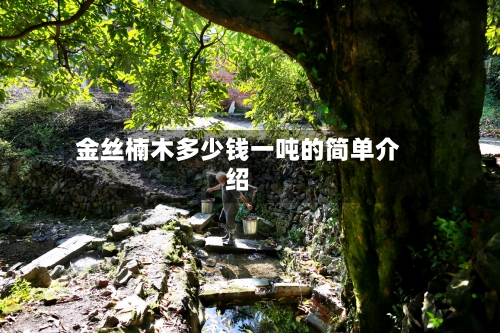 金丝楠木多少钱一吨的简单介绍
