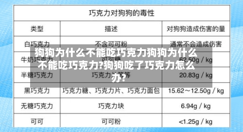 狗狗为什么不能吃巧克力狗狗为什么不能吃巧克力?狗狗吃了巧克力怎么办?