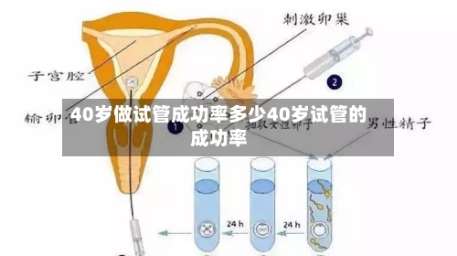 40岁做试管成功率多少40岁试管的成功率