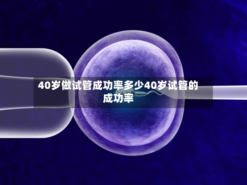 40岁做试管成功率多少40岁试管的成功率