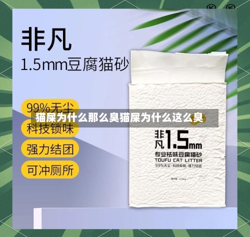 猫屎为什么那么臭猫屎为什么这么臭