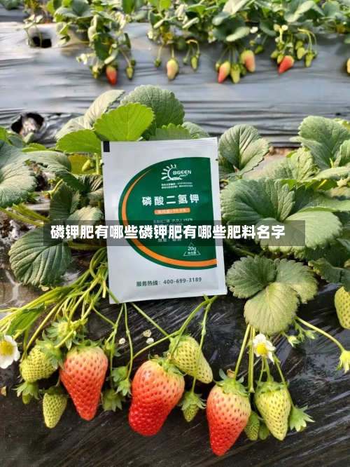 磷钾肥有哪些磷钾肥有哪些肥料名字