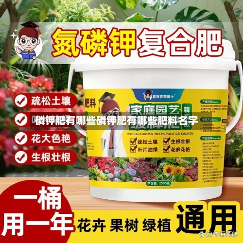 磷钾肥有哪些磷钾肥有哪些肥料名字