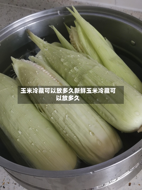 玉米冷藏可以放多久新鲜玉米冷藏可以放多久