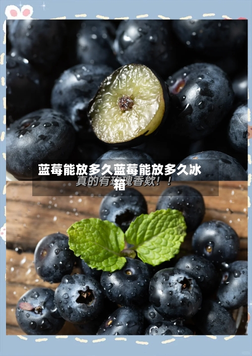 蓝莓能放多久蓝莓能放多久冰箱