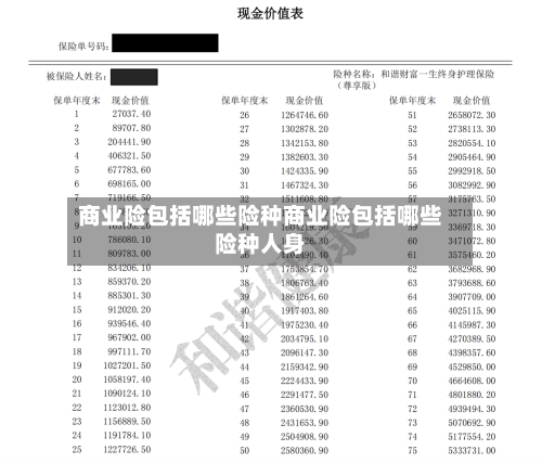 商业险包括哪些险种商业险包括哪些险种人身