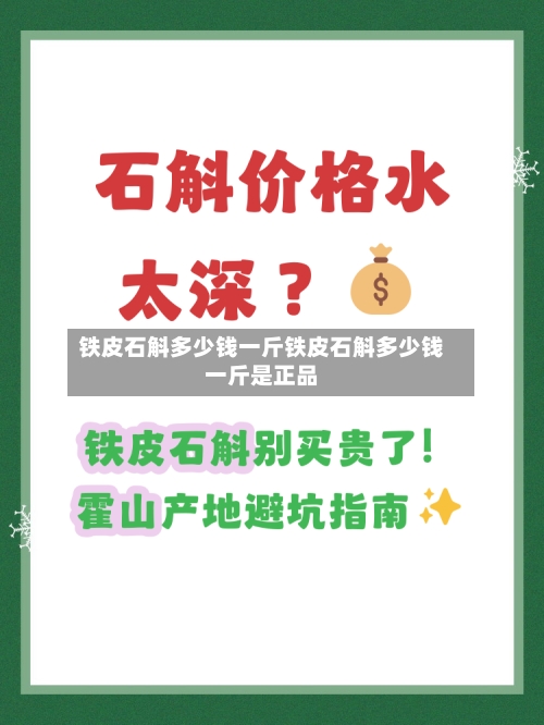 铁皮石斛多少钱一斤铁皮石斛多少钱一斤是正品