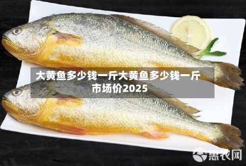 大黄鱼多少钱一斤大黄鱼多少钱一斤市场价2025