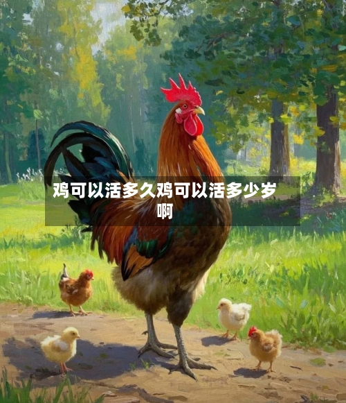 鸡可以活多久鸡可以活多少岁啊