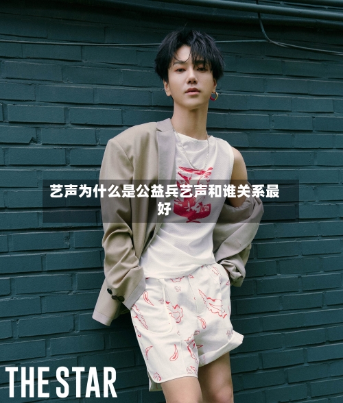 艺声为什么是公益兵艺声和谁关系最好