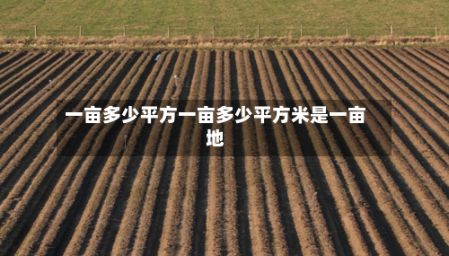 一亩多少平方一亩多少平方米是一亩地