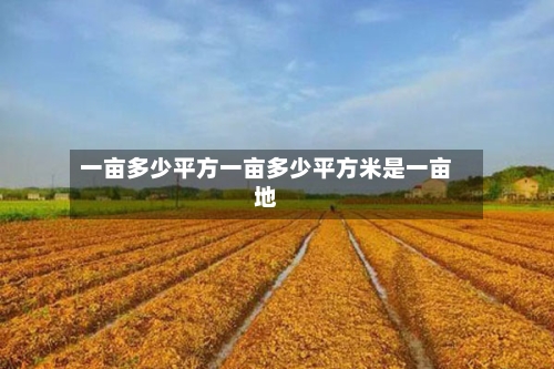 一亩多少平方一亩多少平方米是一亩地