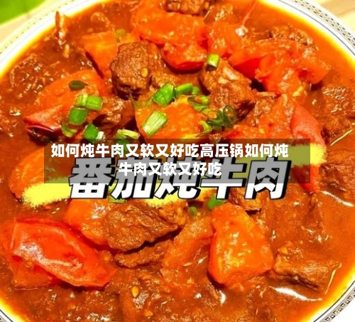 如何炖牛肉又软又好吃高压锅如何炖牛肉又软又好吃