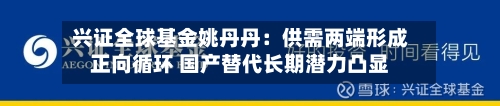 兴证全球基金姚丹丹:供需两端形成正向循环 国产替代长期潜力凸显
