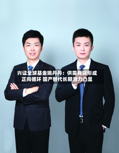 兴证全球基金姚丹丹:供需两端形成正向循环 国产替代长期潜力凸显