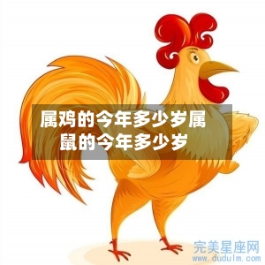 属鸡的今年多少岁属鼠的今年多少岁