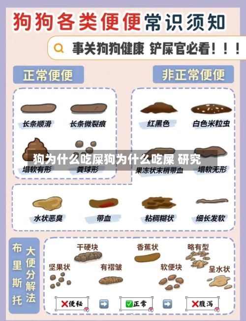 狗为什么吃屎狗为什么吃屎 研究