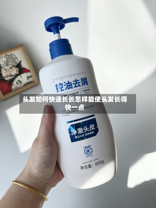 头发如何快速长长怎样能使头发长得快一点