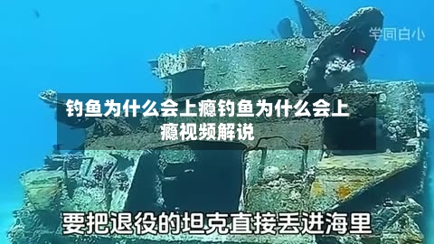 钓鱼为什么会上瘾钓鱼为什么会上瘾视频解说
