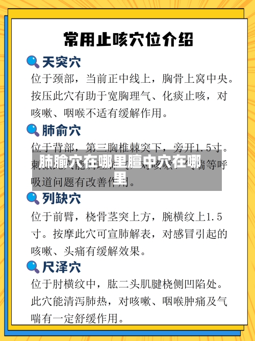 肺腧穴在哪里膻中穴在哪里