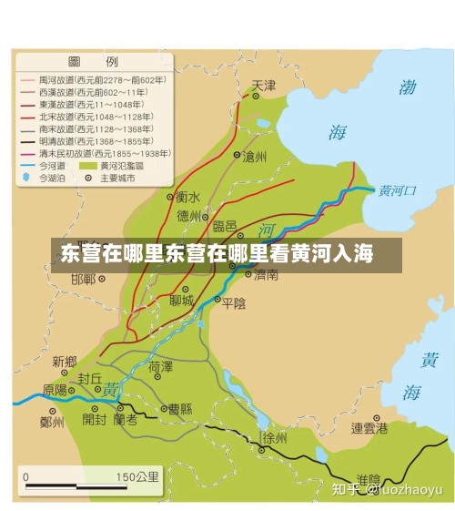 东营在哪里东营在哪里看黄河入海