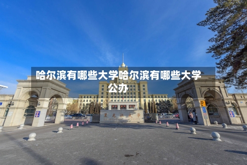 哈尔滨有哪些大学哈尔滨有哪些大学公办