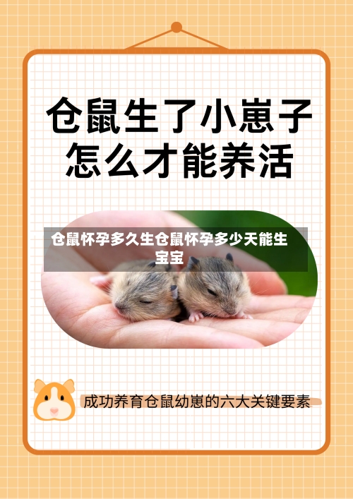 仓鼠怀孕多久生仓鼠怀孕多少天能生宝宝