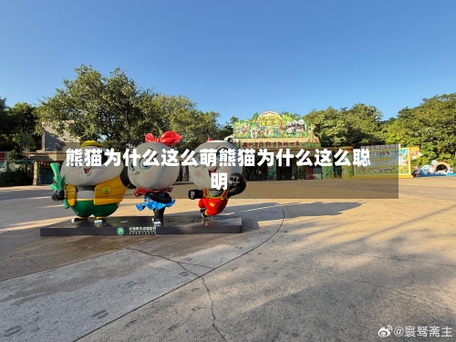 熊猫为什么这么萌熊猫为什么这么聪明