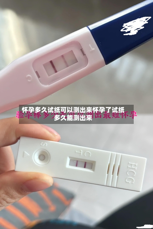 怀孕多久试纸可以测出来怀孕了试纸多久能测出来
